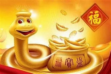 蛇年出生的人|屬蛇出生年份+2024今年幾多歲｜屬蛇性格特徵＋最新 